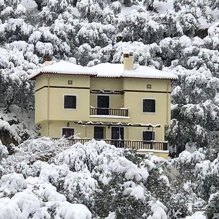 Pelion Mountain & Sea Villa - Private Studio Ano Gatzea Exterior photo