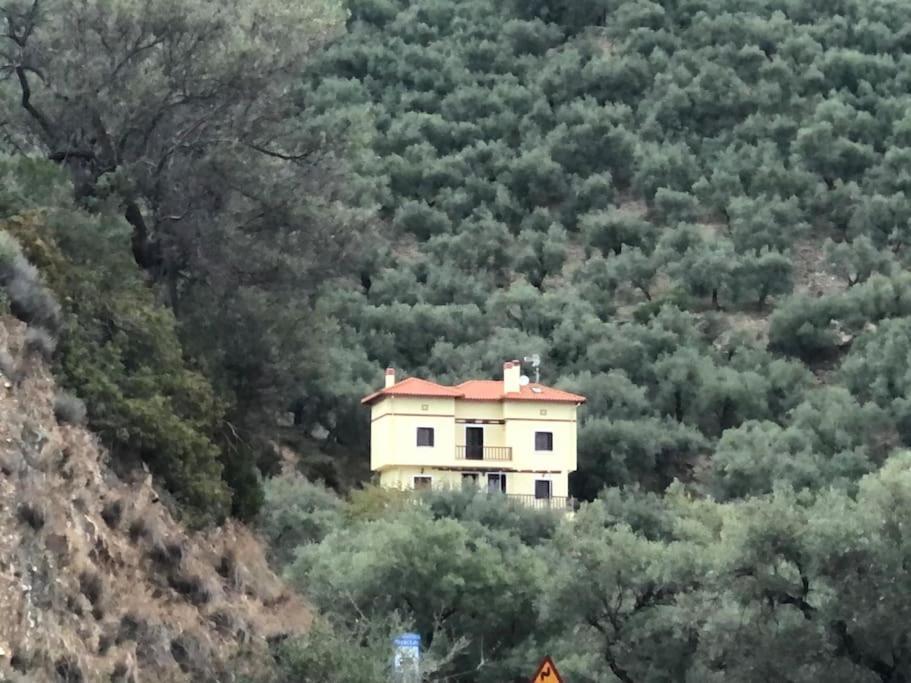Pelion Mountain & Sea Villa - Private Studio Ano Gatzea Exterior photo