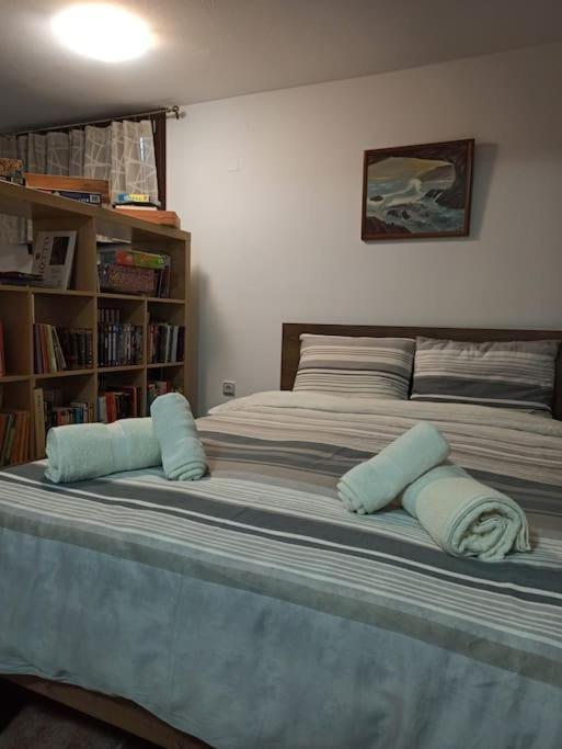 Pelion Mountain & Sea Villa - Private Studio Ano Gatzea Exterior photo