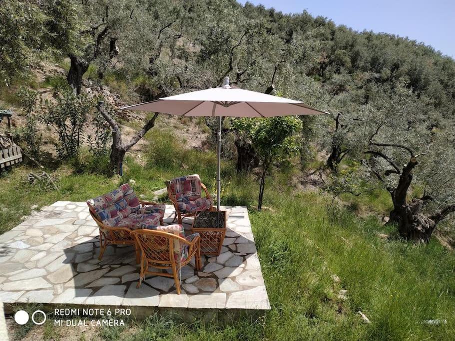 Pelion Mountain & Sea Villa - Private Studio Ano Gatzea Exterior photo