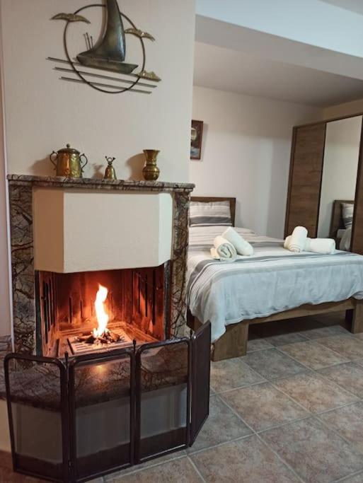 Pelion Mountain & Sea Villa - Private Studio Ano Gatzea Exterior photo