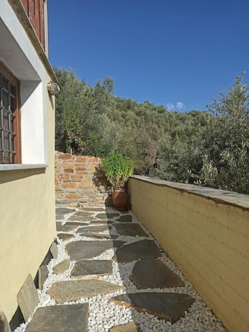 Pelion Mountain & Sea Villa - Private Studio Ano Gatzea Exterior photo