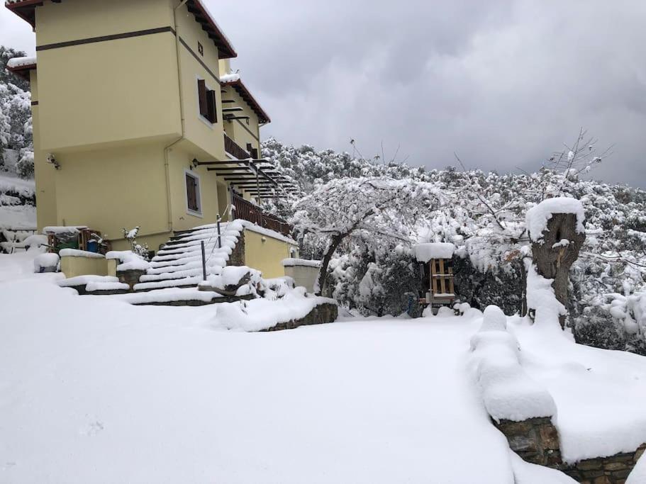 Pelion Mountain & Sea Villa - Private Studio Ano Gatzea Exterior photo